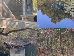 -兰亭风景区