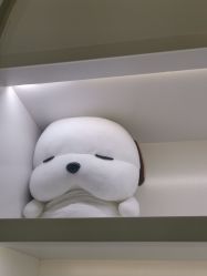 -苗医生0感科技祛痘