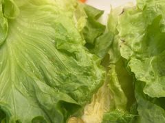 -菌乡缘·野生菌蒸汽鱼火锅(江边夜市店)