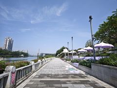 -光明港公园