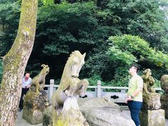 -藏龙百瀑风景区