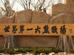 -东方熊牧场