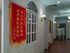 -安院长·产后恢复·徒手骨盆(先天下店)