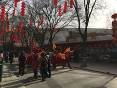 -太原动物园