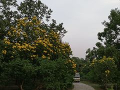 -北京植物园南门售票处