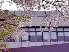 -上海南浦大桥长途旅游客运站