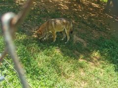 -大连森林动物园