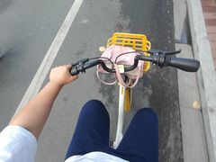 -广州天河体育中心-棒垒球场