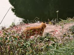-重庆彩云湖湿地公园