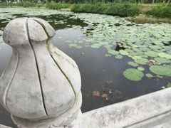 -青龙山国家森林公园