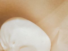 -春风松月楼(七宝万科店)