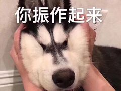 -丸来玩趣(西溪印象城店)