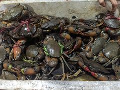 -凤凰路何眼镜香辣蟹(花果园店)