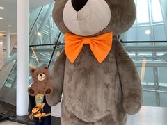 -济州岛泰迪熊博物馆