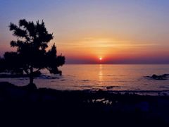 -渡海小渔村.老辈日照菜