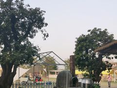 -长洲岛