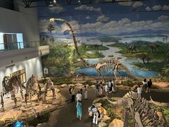 -自贡恐龙博物馆