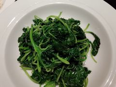 清炒豆苗-北京四季酒店·采逸轩