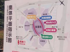 -南京奥林匹克体育中心-体育馆