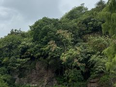 -狼山风景名胜区