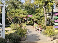 -熙古里艺术村