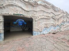 -广东惠东海龟国家级自然保护区