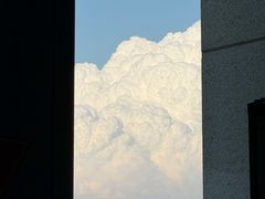 -大望京公园