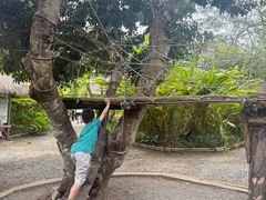 -大象粑粑造纸公园