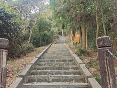 -田心森林公园