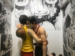 -东京塔海贼王主题公园