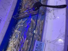 -澜悦港海鲜体验主题餐厅