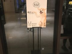 -上海崇明金茂凯悦酒店