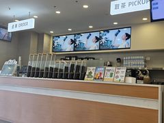-雾与山茶(大禹城店)