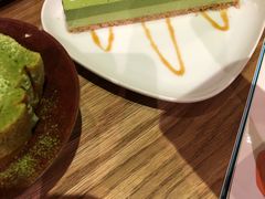 -柴务处·柴犬主题狗咖