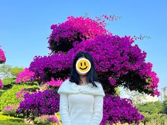 -南宁南湖公园