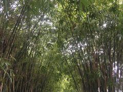 -堤角公园