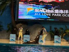 -泉城欧乐堡海洋极地世界