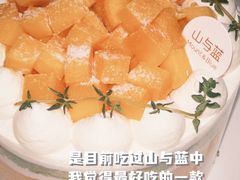 -山与蓝·轻糖鲜果蛋糕(勒泰店)