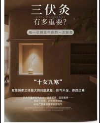 -YESIDO椰岛美容