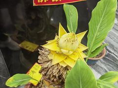 -隐厨·海鲜餐厅(恒通路店)