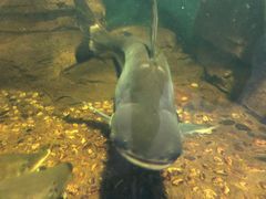 -泉州海丝野生动物世界