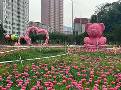 -大连老虎滩海洋公园