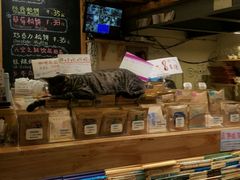 -猫的天空之城概念书店(西塘古镇店)