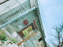 -鹫峰国家森林公园