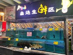 -石岐乳鸽村(南海第三分店)