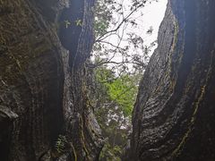 -梭布垭石林景区