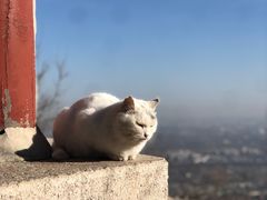 -北京凤凰岭