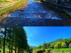 -马峦山郊野公园