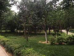 -山东大学(洪家楼校区)