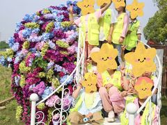 -蕃茄田艺术•美术绘画 •硬笔书法(滨江海威领界店)